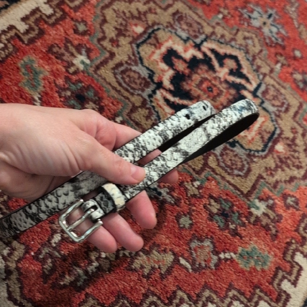 Snakeskin Pattern Belt with Silver Buckle